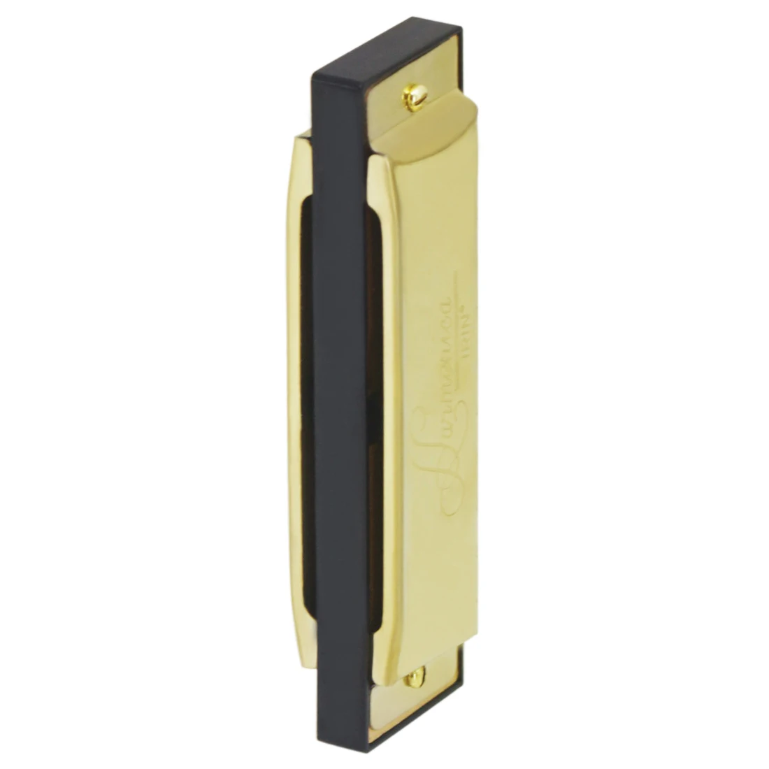 IRIN Harmonica 10 Hole 20 Tone - Musical Instruments Names review and price