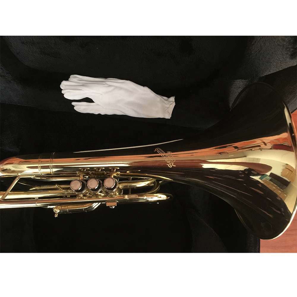 Bb Gold‑Lacquered Marching Fre - Musical Instrument Horn review and price