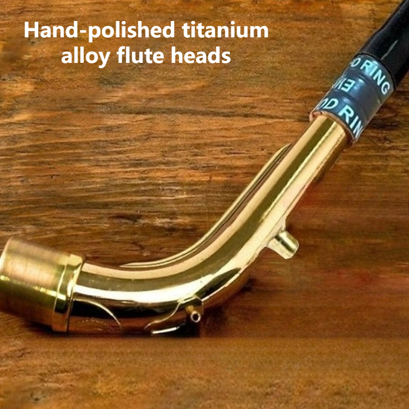 Adjustable Metal Saxophone Por - Musical Instrument Horn review and price