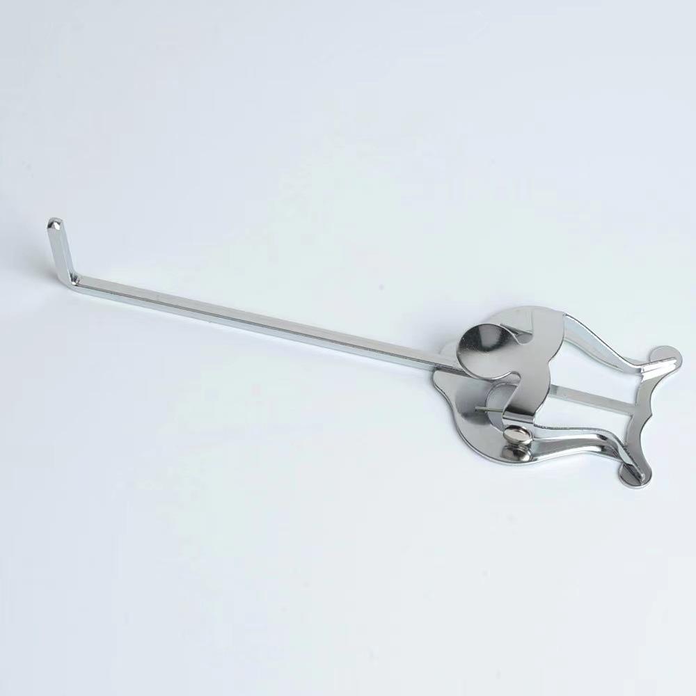 Metal Trumpet Marching Lyre Li - Musical Instrument Cornet review and price
