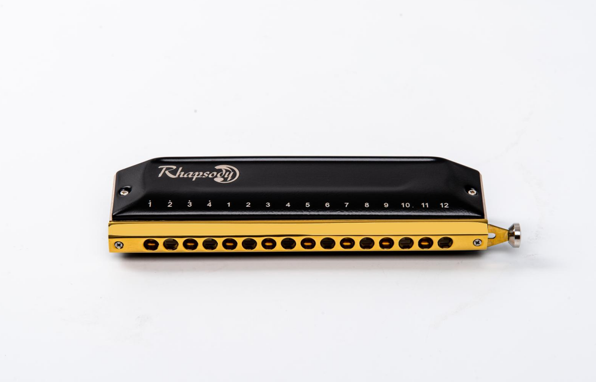 East top new chromatic ABS com - Musical Instruments Names review and price