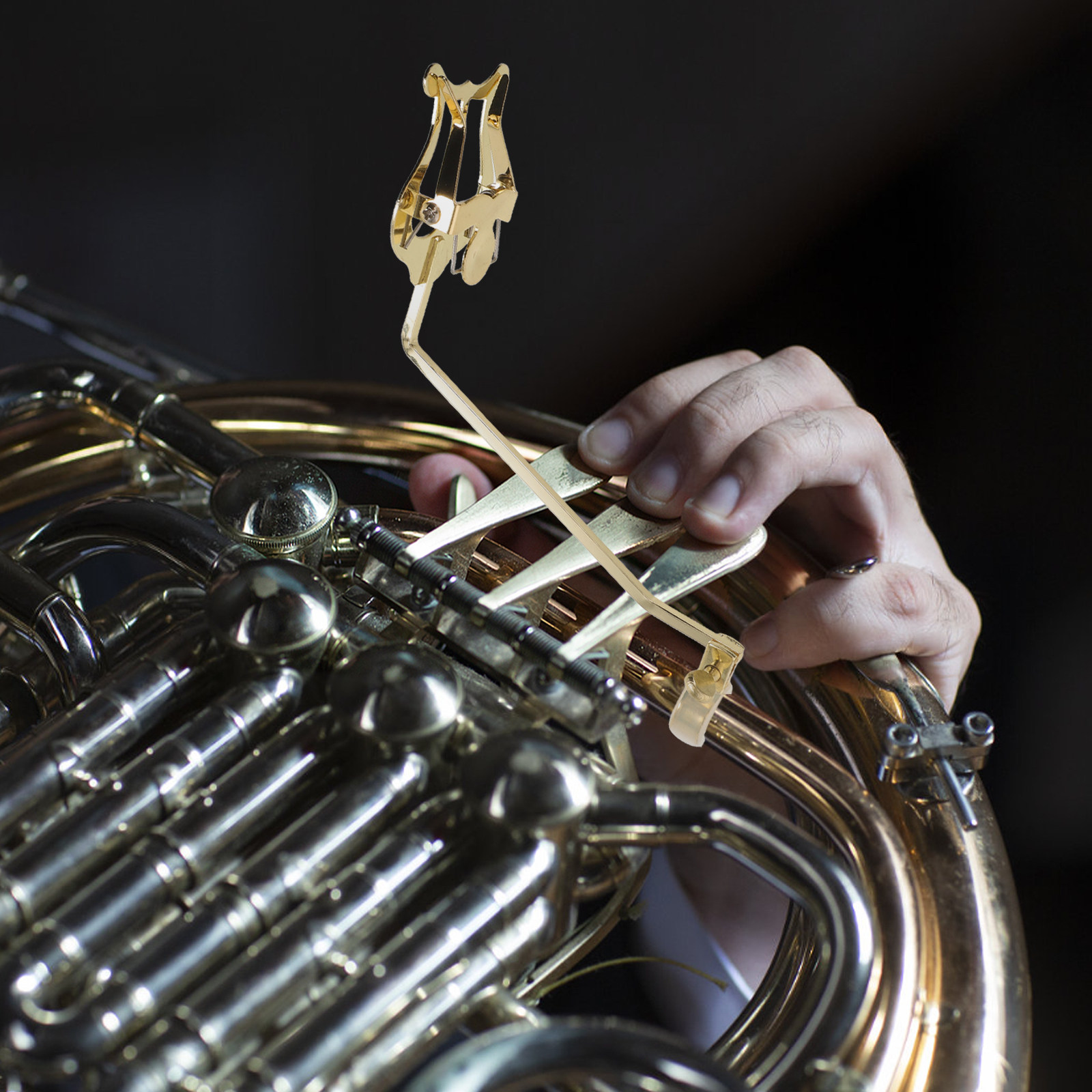 French Horn Marching Clamp-on  - Musical Instrument Horn review and price
